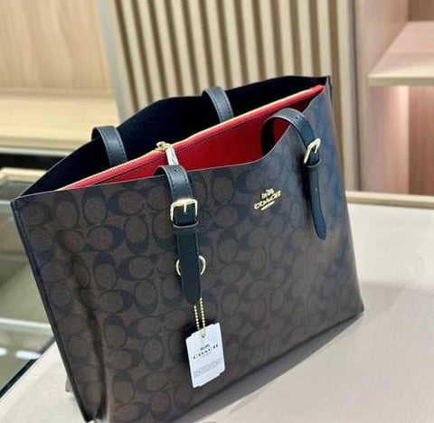 coach ( كوتش مولي تشيري بني اسبريسو )