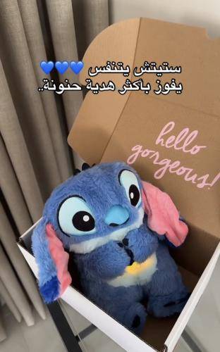دبدوب ستيتش المتنفس