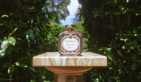 ماغنوليا من سانتا ماريا نوفيلا  | Magnolia by Santa Maria Novella