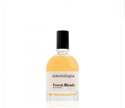 عطر فورست بلندز من سنتولوجيا 100 مل | Forest Blends by Scentologia 100ml