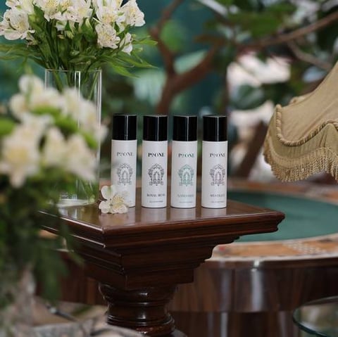 PoONE All Over Spray Set