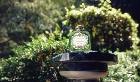 Gelsomino By Santa Maria Novella