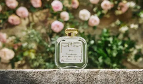 Rosa by Santa Maria Novell