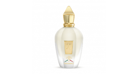 Renaissance 100ml by Xerjoff - XJ 1861