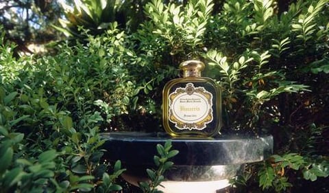 Bizzarria by Santa Maria Novella 100ml