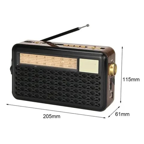 راديو DENX DX2437 بتقنية بلوتوث، مصباح يدوي وبطارية ليثيوم