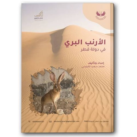 الأرنب البري في دولة قطر