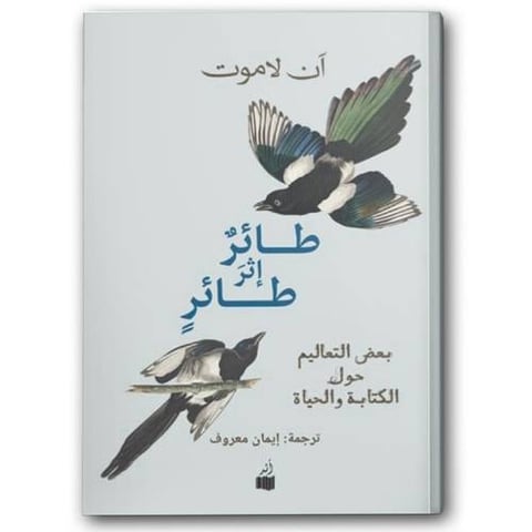 طائر إثر طائر