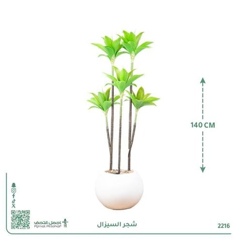 شجرة السيزال الصناعية متعددة السيقان بحوض بلاستيك دائري