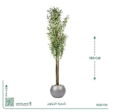 شجرة الزيتون الصناعية بحوض بلاستيك دائري