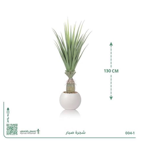 شجرة صبار صناعية بحوض دائري