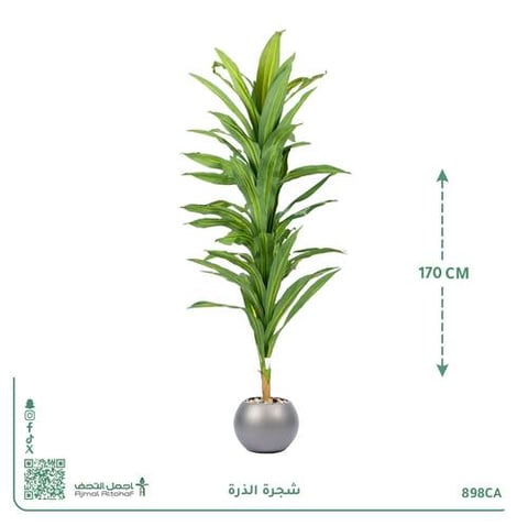 شجرة الذرة الصناعية بحوض بلاستيك دائري