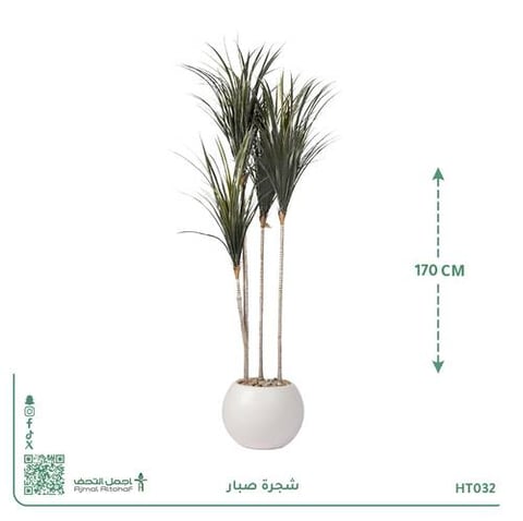 شجرة صبار صناعي بحوض بلاستيك دائري
