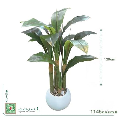 شجرة الموز (Banana Plant) الصناعية، وتتميز بأوراقها العريضة والانسيابية ذات المظهر الاستوائي. خمسة فروع