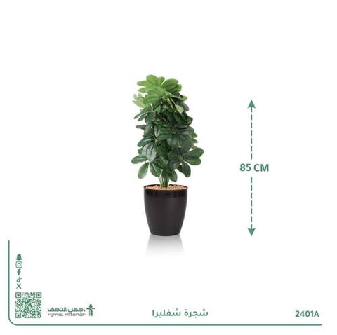 شجرة شفليرا صناعية بحوض أسطواني
