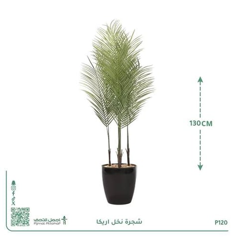 شجرة نخل اريكا صناعية بحوض بلاستيك دائري