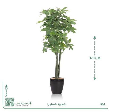 شجرة شفليرا صناعية بحوض أسطواني