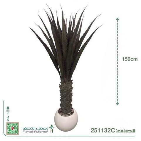 251132Cشجرة صبار أجاف (Agave) صناعية مركن بلاستك بارتفاع 150 سم .