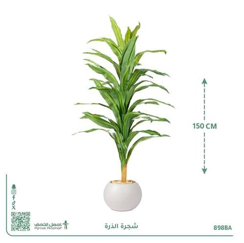 شجرة الذرة الصناعية بحوض بلاستيك دائري
