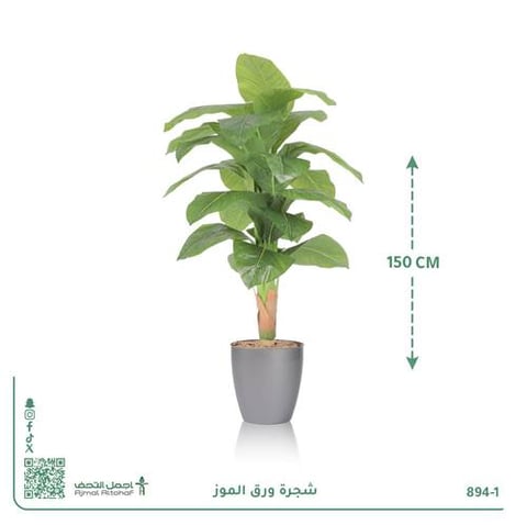 شجرة ورق الموز صناعية بحوض دائري