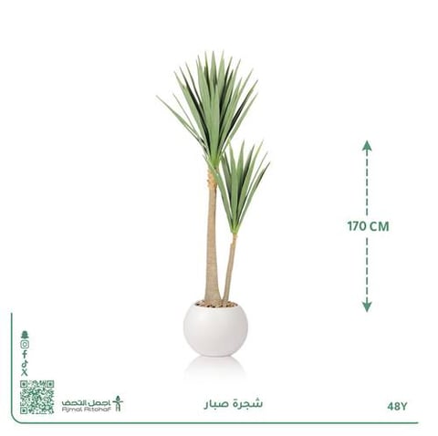 شجرة صبار صناعية بحوض دائري