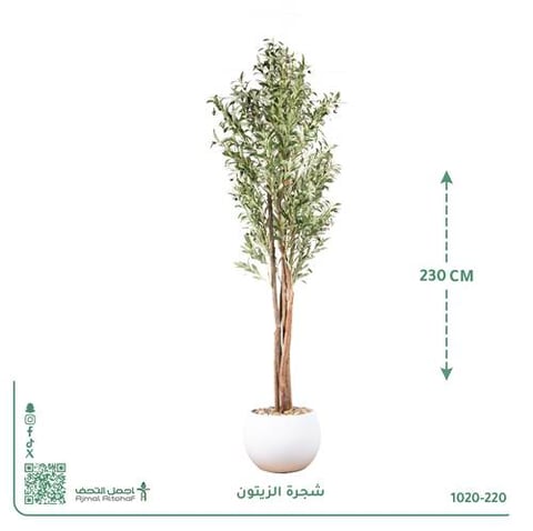 شجرة الزيتون الصناعية بحوض بلاستيك دائري