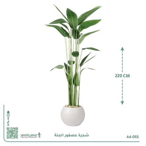 شجرة عصفور الجنة الصناعية بحوض بلاستيك دائري