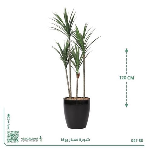 شجرة صبار يوكا صناعية بحوض بلاستيك دائري