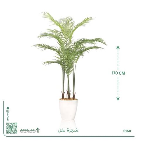 شجرة نخل صناعية بحوض أسطواني