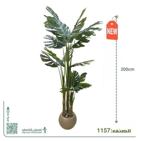 1157شجر فيلوديندرون (Philodendron) صناعي فاخر - ارتفاع 200 سم