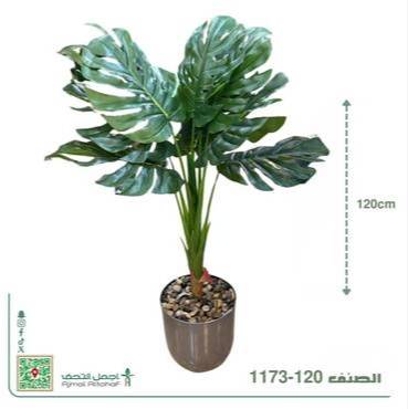  1173-120شجر 