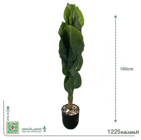  1225 شجرة الألوكاسيا (Alocasia)  اوا شجرة أذن الفيل الصناعية العمودية.بأرتفاع160سم