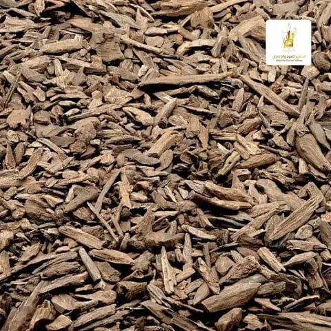 عود طبيعي فلبيني سوبر ( ميني ودقة )