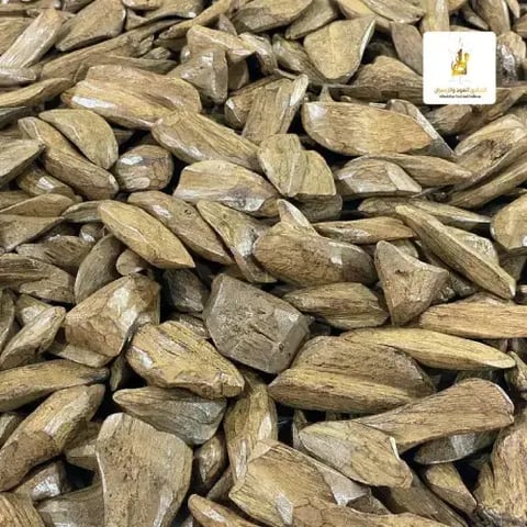 عود محسن مروكي كنج