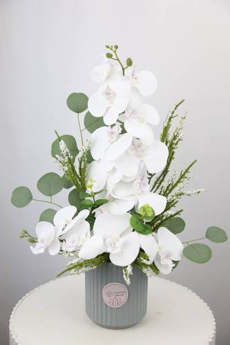 فازه ساحرة