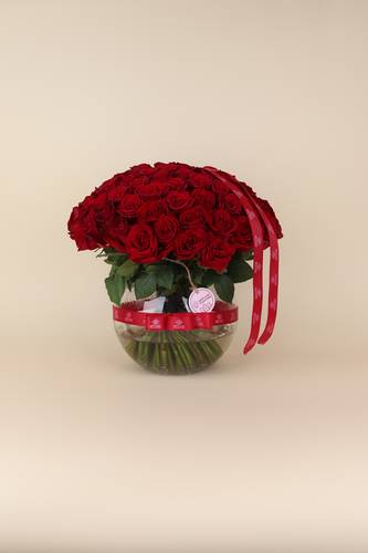 فازة 100 روز أحمر