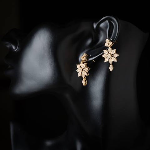 18K Gold Earrings