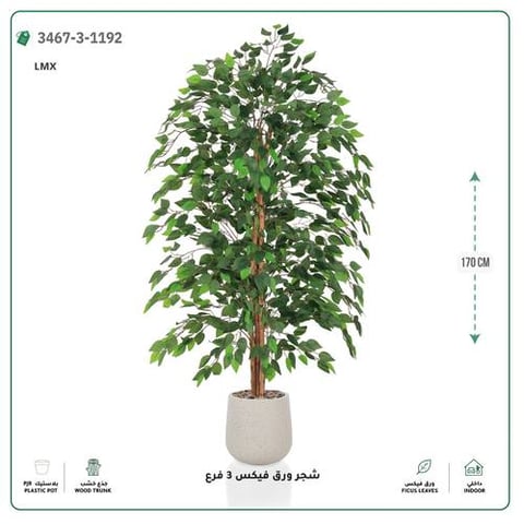 شجرة فيكس صناعية ( 150 سم ) مركن بلاستيك