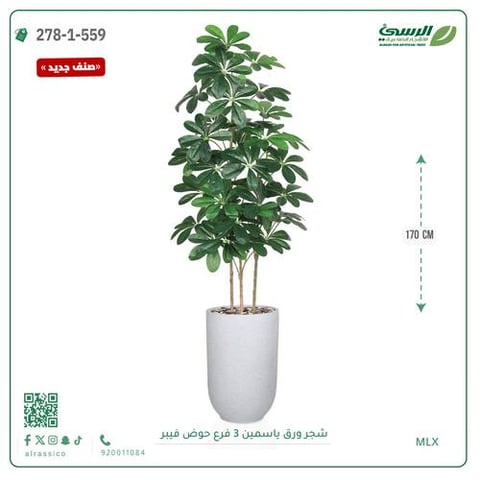 شجرة ورق ياسمين صناعية 3 فروع (ارتفاع 170 سم) حوض فيبر