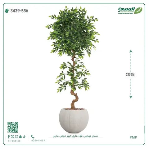 شجرة فيكس صناعية عود مائل (ارتفاع 210 سم) حوض فيبر