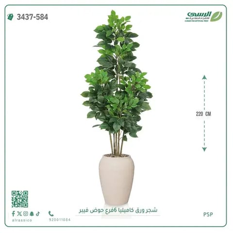 شجرة ورق كاميليا صناعية 6 فروع (ارتفاع 220 سم) حوض فيبر