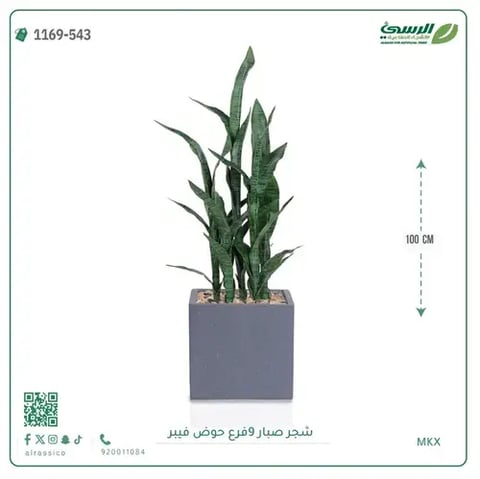 شجر صبار صناعية ( ارتفاع 100 سم ) حوض فيبر