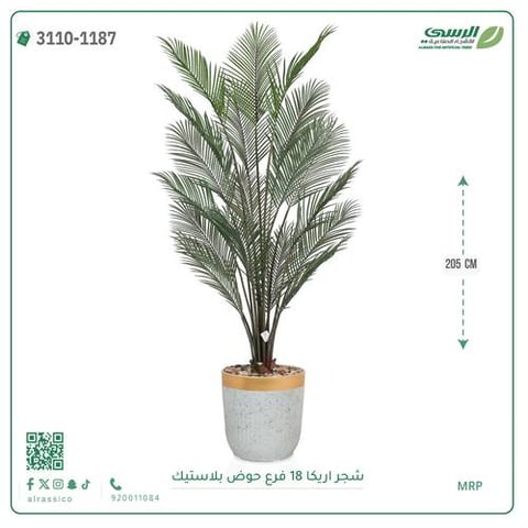شجر اريكا صناعية ( ارتفاع 205 سم ) حوض بلاستك