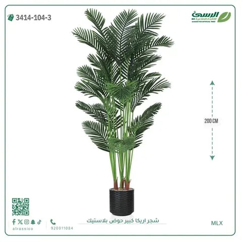 شجر أريكا صناعية ( ارتفاع 200 سم ) حوض بلاستك