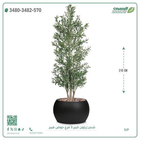 شجرة زيتون صناعية ( ارتفاع 240 سم ) حوض فيبر