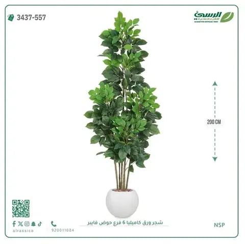 شجرة كاميليا صناعية (ارتفاع 200 سم) 6 فروع حوض فيبر
