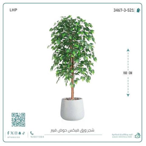  شجرة ورق فيكس اصطناعية بمركن فيبر بيضاوى