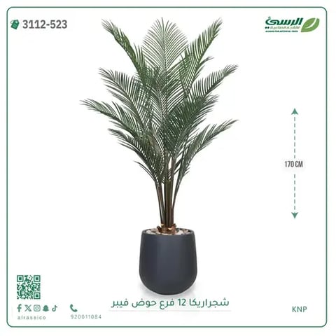 شجرة أريكا صناعية 12 فرع (ارتفاع 170 سم) حوض فيبر