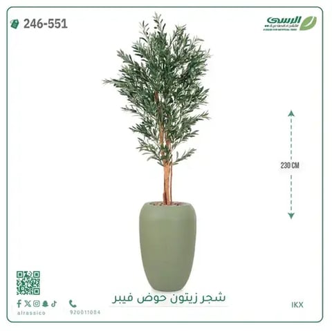 شجر زيتون صناعية ( ارتفاع 230 سم ) حوض فيبر