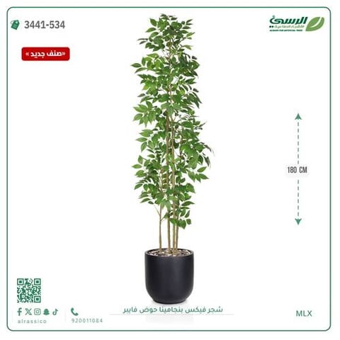 شجرة فيكس بنجامينا صناعية (ارتفاع 180 سم) حوض فيبر